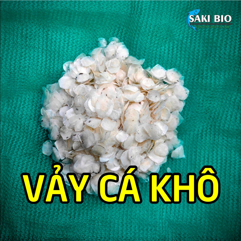 VẢY CÁ CHẼM PHƠI KHÔ